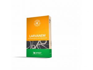 larvanem -chrust obyčajný
